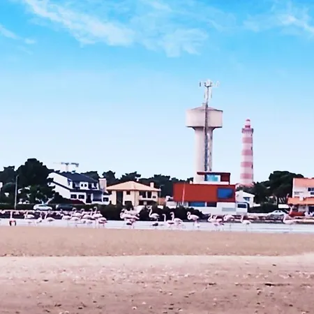 Aveiro, Ria E Arte 公寓 阿威罗