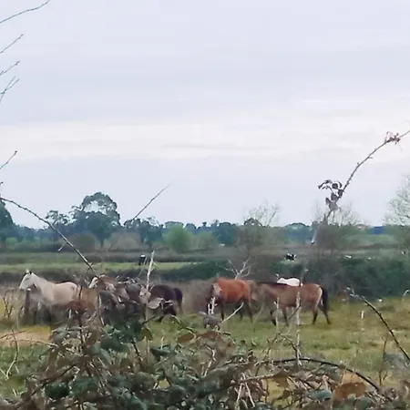 Aveiro, Ria E Arte Aveiro