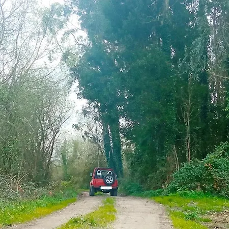 Aveiro, Ria E Arte Appartamento *