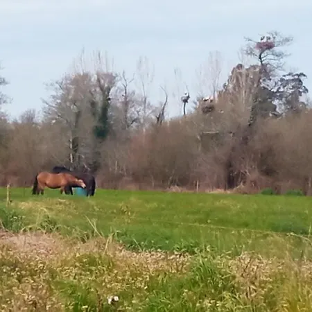 Aveiro, Ria E Arte Aveiro