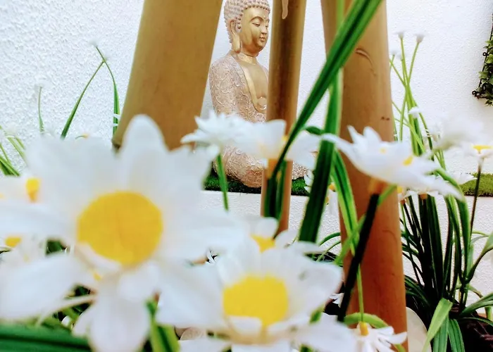 アパート Aveiro, Ria E Arte アヴェイロ