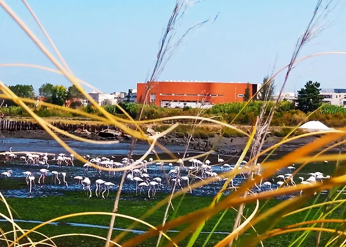 Aveiro, Ria E Arte アパート