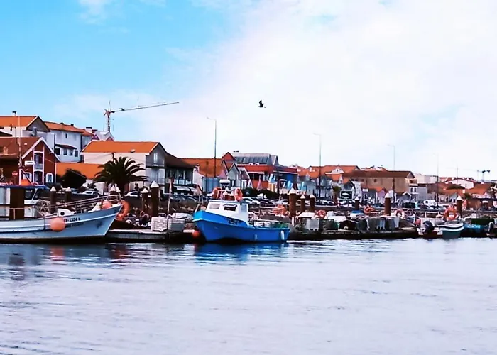 アパート Aveiro, Ria E Arte アヴェイロ