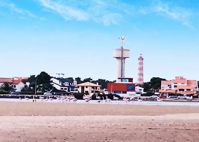 Aveiro, Ria E Arte アパート アヴェイロ