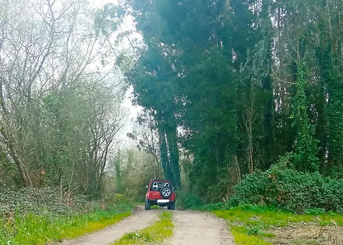 Aveiro, Ria E Arte アパート *